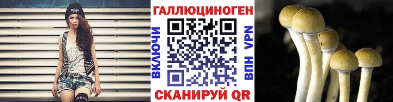 купить  сайты  Арсеньев  Псилоцибиновые грибы Cubensis 