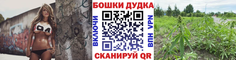 цены   Арсеньев  Каннабис конопля 